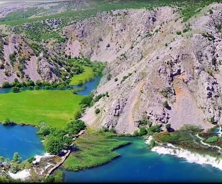 Dujmovic アパート